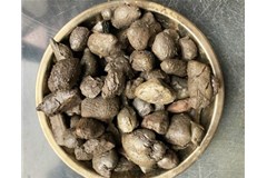 頁(yè)巖陶粒應(yīng)用于污水處理廠(chǎng)